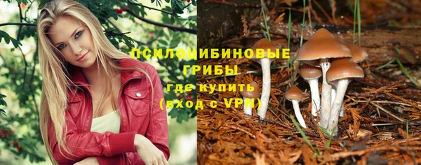 ECSTASY Арсеньев