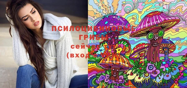 мяу мяу мука Армянск