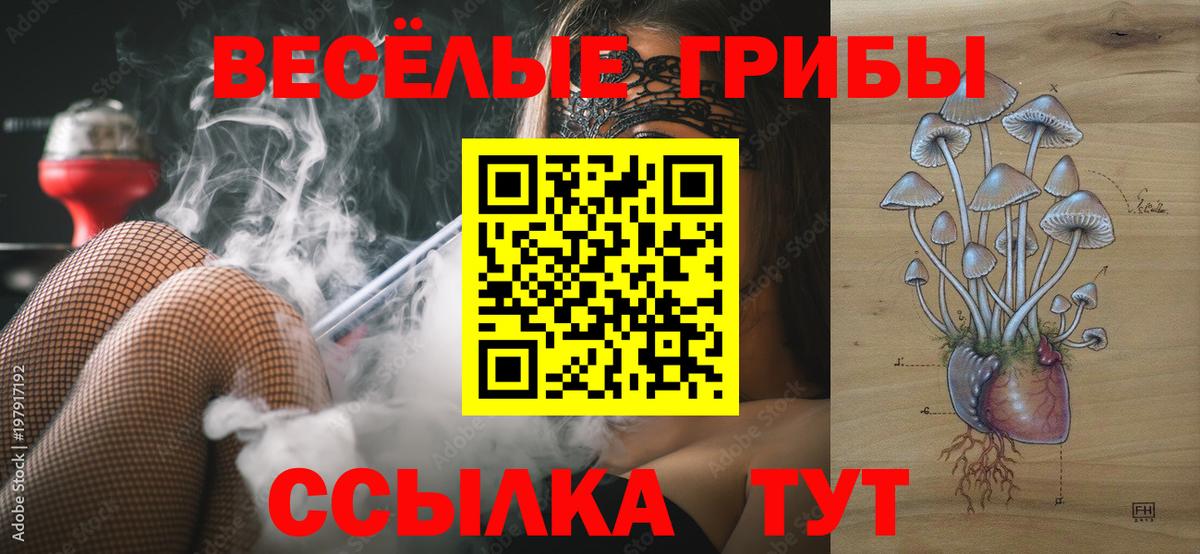 Галлюциногенные грибы Psilocybe  Вход с VPN  Рыбинск  Псилоцибиновые грибы MAGIC MUSHROOMS 
